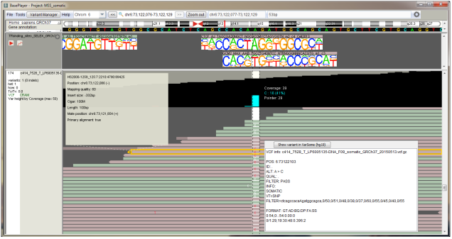 Screenshot of BasePlayer software