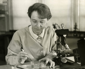 Barbara_McClintock_(1902-1992)_shown_in_her_laboratory_in_1947